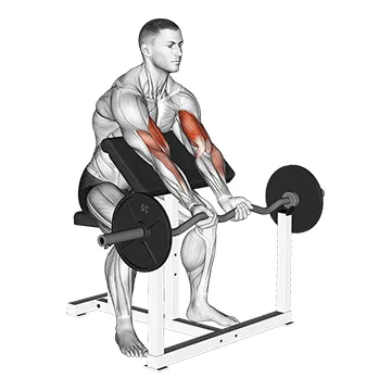 EZ-Bar Close-Grip Preacher Curl