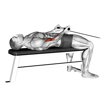 Lying Cable Biceps Curl