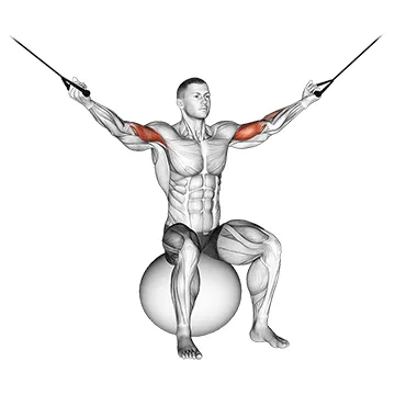 Cable Overhead Curl on Stability Ball