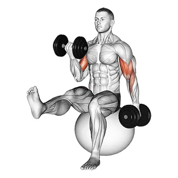 Alternating Dumbbell Curl (Ball Balance)