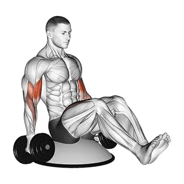 Bosu Ball Dumbbell Curl