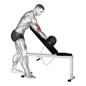 Dumbbell Single-Arm Zottman Preacher Curl
