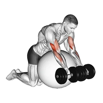 Stability Ball Dumbbell Preacher Curl