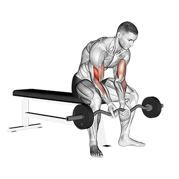EZ-Bar Seated Close-Grip Concentration Curl