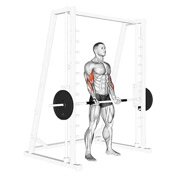 Smith Machine Biceps Curl