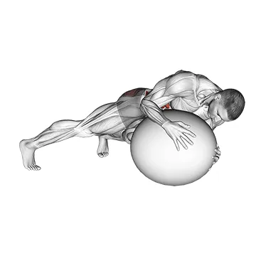 Prone Stability Ball Twist