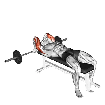 Behind-the-Head Barbell Triceps Extension