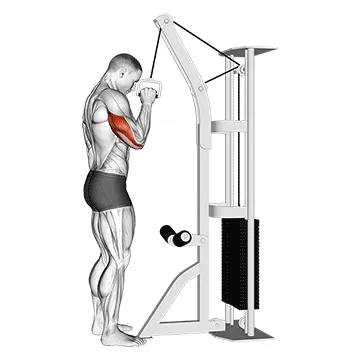 Single-Arm Cable Triceps Pushdown