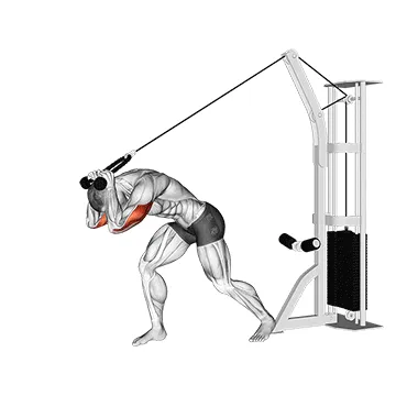 Cable Overhead Triceps Extension