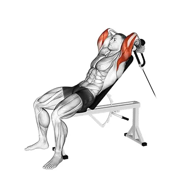 Incline Cable Triceps Extension (Rope)