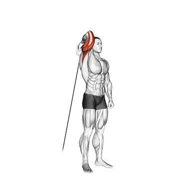 Single-Arm Reverse-Grip Cable Overhead Extension