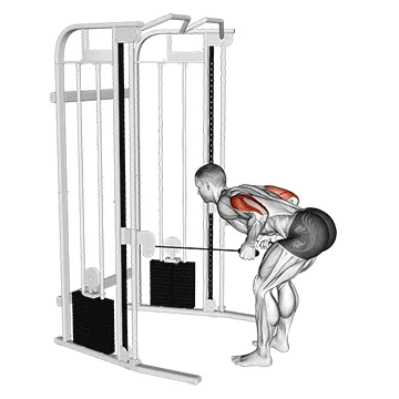 Cable Triceps Kickback