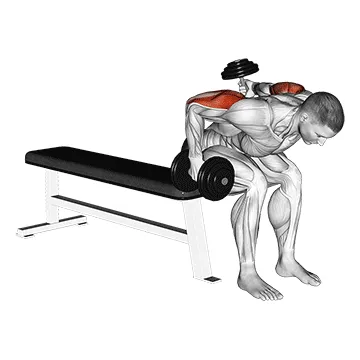 Dumbbell Seated Bent-Over Alternating Kickback