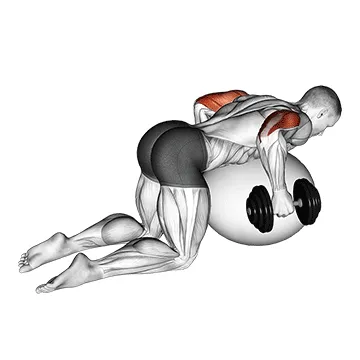 Dumbbell Kickbacks on Stability Ball