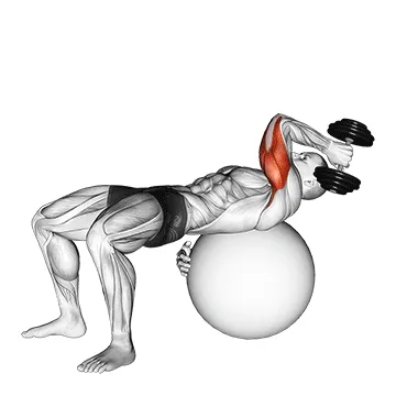 Single-Arm Stability Ball French Press