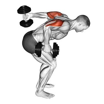 Alternating Dumbbell Triceps Kickback