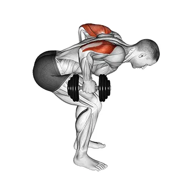 Bent-Over Dumbbell Triceps Extension