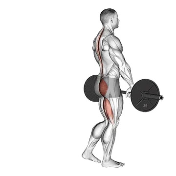 Barbell Single-Leg Deadlift
