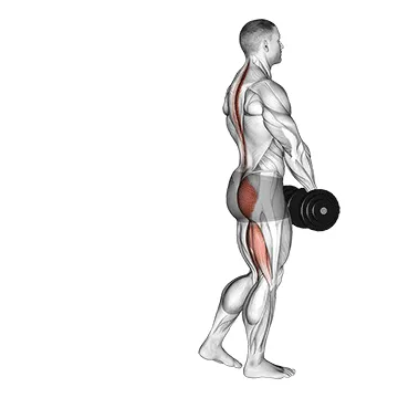 Dumbbell Single-Leg Deadlift