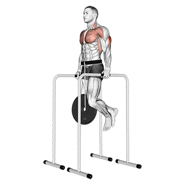 Weighted Parallel Bar Triceps Dip