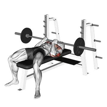 Barbell Reverse Close-Grip Bench Press