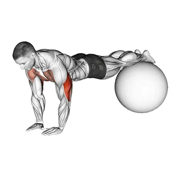 Narrow-Grip Stability Ball Push-Up