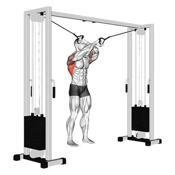 Full-Range Cable Lat Pulldown