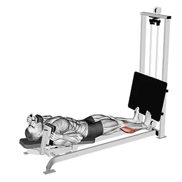 Lying Calf Press