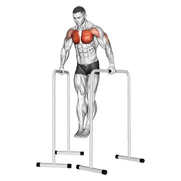 Wide-Grip Parallel Bar Chest Dip