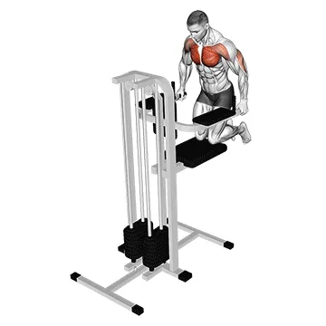 Kneeling Assisted Wide-Grip Chest Dip
