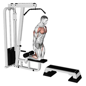 Cable Machine Inverse Leg Curl