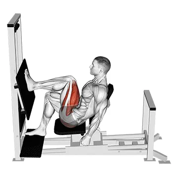 Lever Horizontal Single-Leg Press
