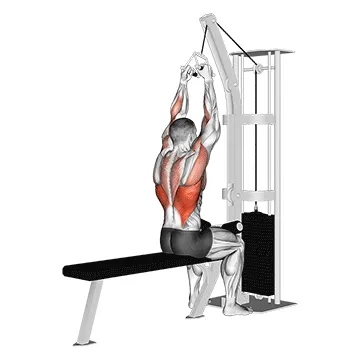 Cable Lat Pulldown (V-Bar)