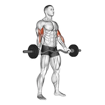 EZ-Bar Standing Wide-Grip Biceps Curl