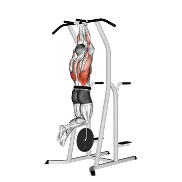 Weighted Close-Grip Chin-Up (Dip Station)