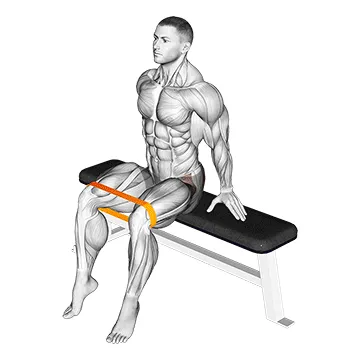Seated Band Hip Abduction