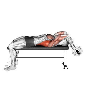 EZ-Bar Lying Bent Arms Pullover