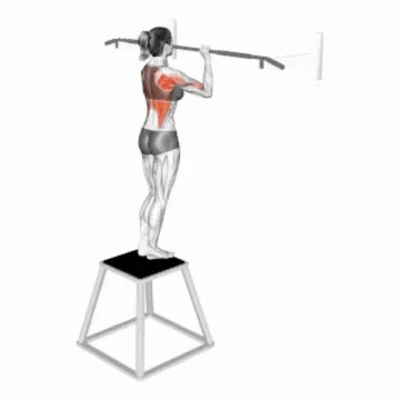 Negative Pull-Up