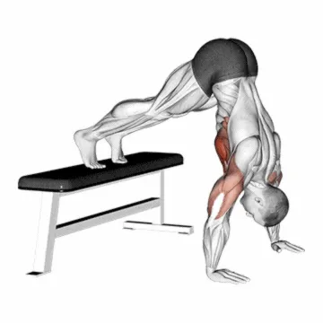 Elevated Pike Push-Up