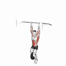 Weighted Muscle-Up